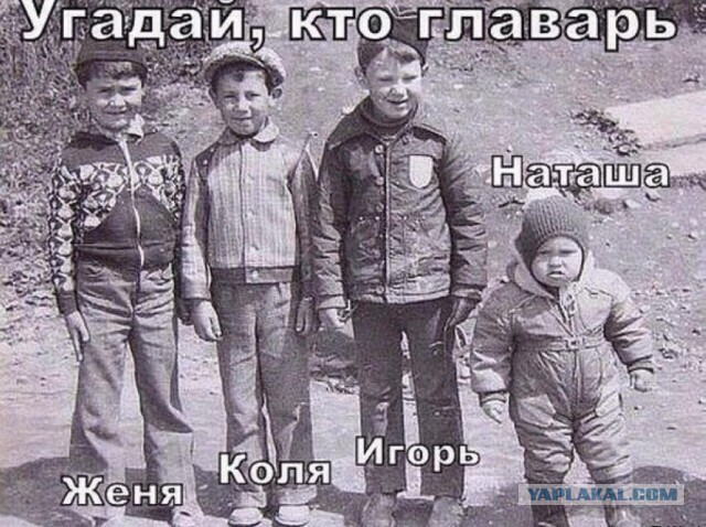 Злые шутки или минутка сарказма на ЯП-е, 16+