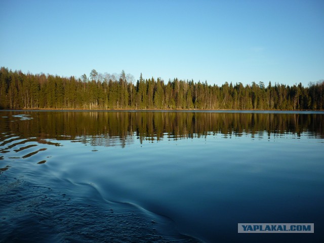 Я узнал, что у меня есть огромная семья