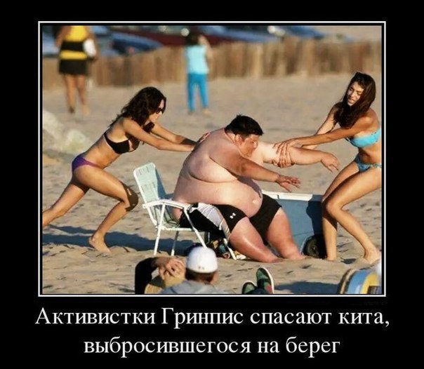 Веселые картинки