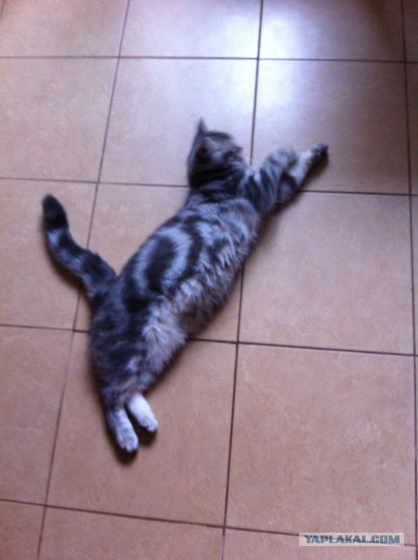 Те, которым мы помогли.