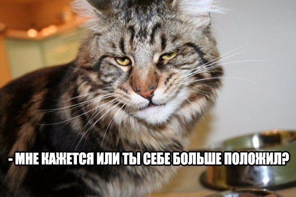 Подборка картинок