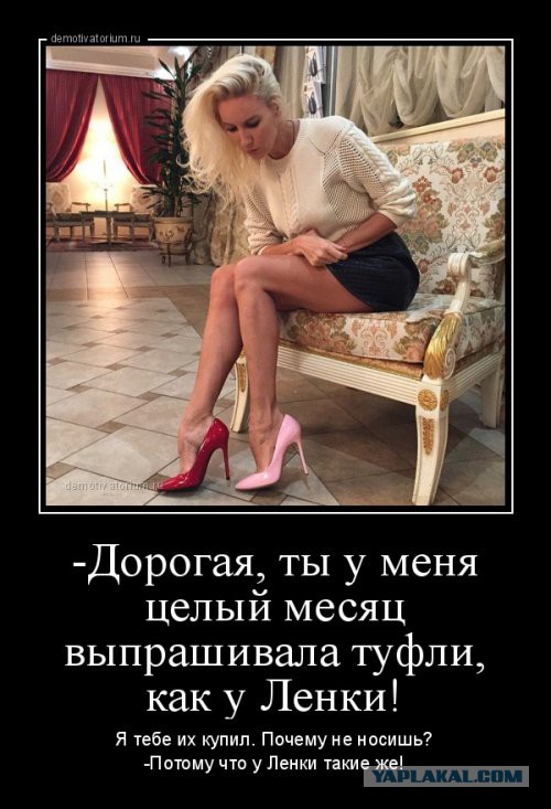 Подборка интересных и прикольных картинок