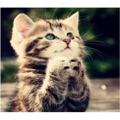 Очередная подборка фоток