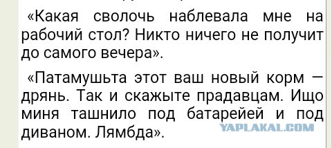 В основном про *овно