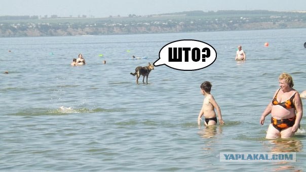 Какое твоё супергеройское имя ?