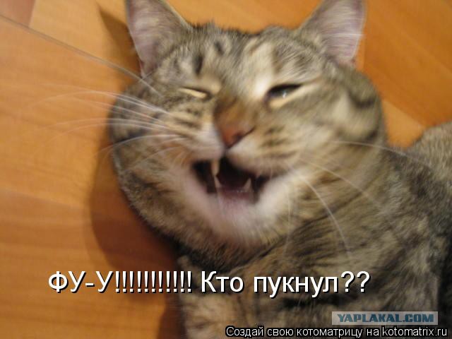 К такому жизнь меня не готовила
