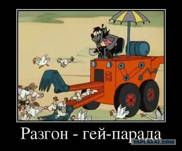 Порция картинок из сети