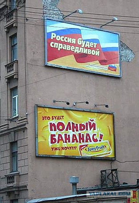 Выборы, выборы...