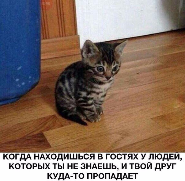 Разные картинки из сети