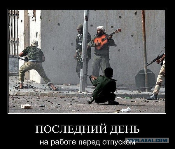 Подборка странных картинок с не менее странными надписями