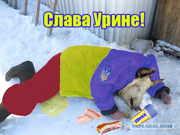 Украина хочет дружить.
