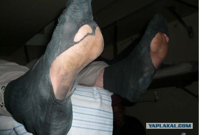 Попутчицы