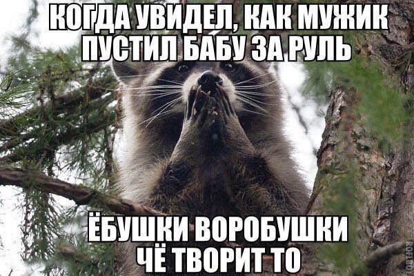 Честно, я не знаю, что тут происходит