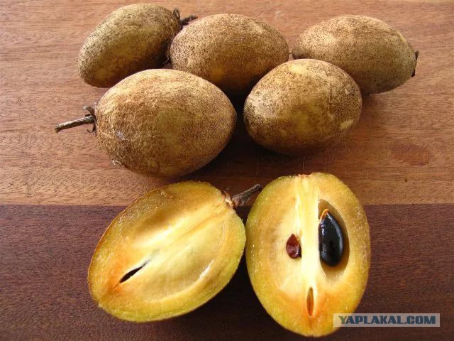 19 редчайших экзотических фруктов, о которых вы не слышали