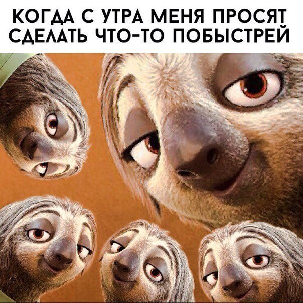 Подборка интересных и веселых картинок