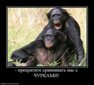 Грузчики устроили беспорядки у ТЦ Москва
