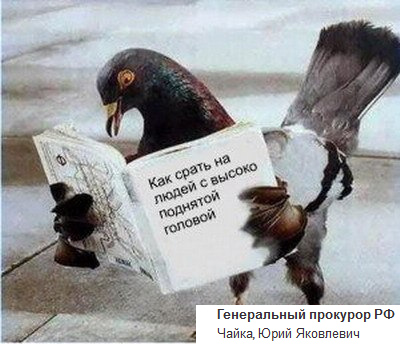ЯП хотят запретить. Петиция против ЯПа!