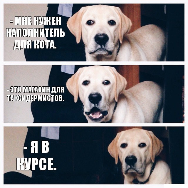 Всяко-разно из тырнэта