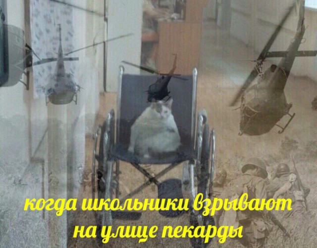 Это не нормально
