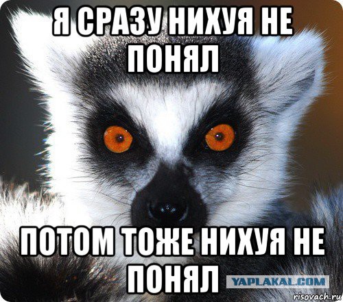 Пятница! Приступим?