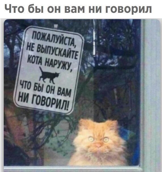 От работы отдыхаем, на картинки залипаем