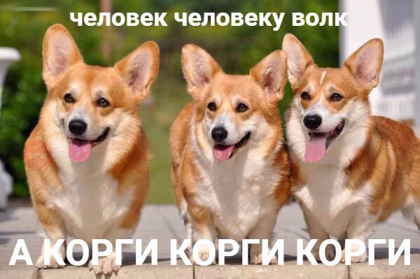 Нестандартный юмор