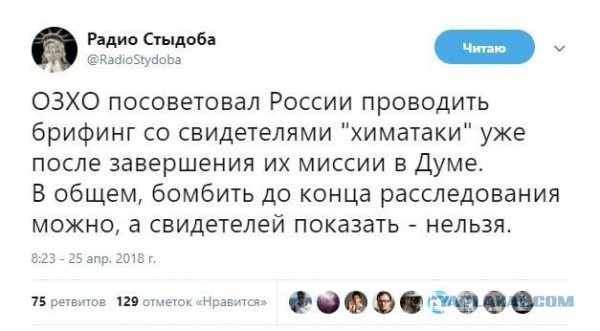Правда колет глаза: страны НАТО бойкотировали выступление "жертв химатаки"