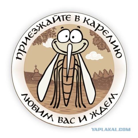 В моём городе комары просто жрут людей!