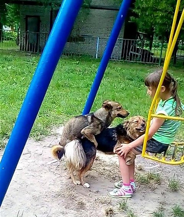 Выловлено в наших сетях