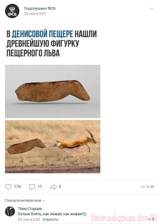 Комментарии к постам в разных группах, которые вызвали улыбку