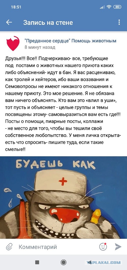 Помогите вернуть кота! Приют "Преданное сердце" украл кота и не отдает!-2