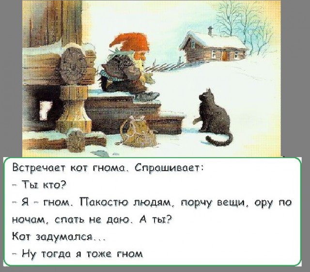 Кот, нам нужно серьезно поговорить