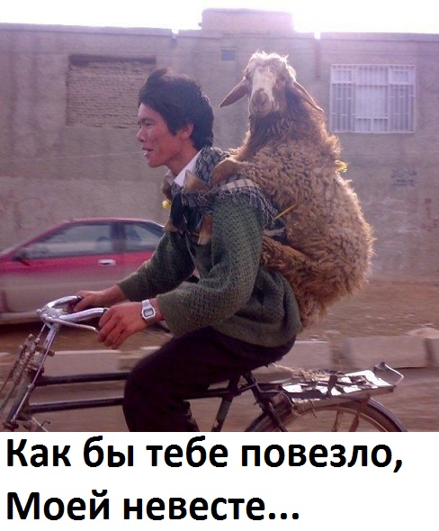 Позитивные картинки на 19.07.2020