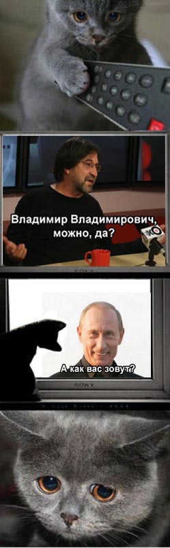 Почему котейко грустный?