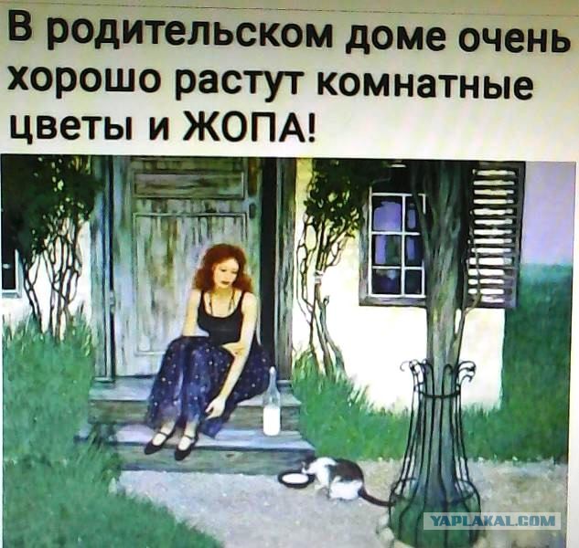 Немного картинок для настроения 20.10.20