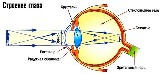 Британские учёные утверждают, что просмотрев это видео, человек легко поймёт все 12 измерений в нашем мире