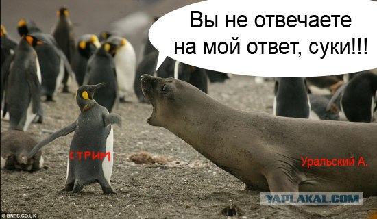 Фотожаба: А ну не ори на меня!