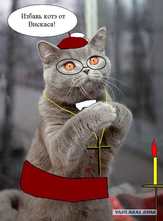 Чесна, чесна, хозяин, это не я ...