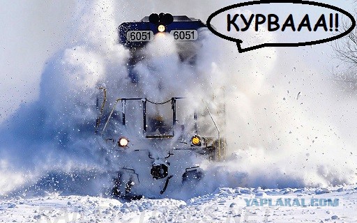 Дарвин улыбается, глядя на этот пост