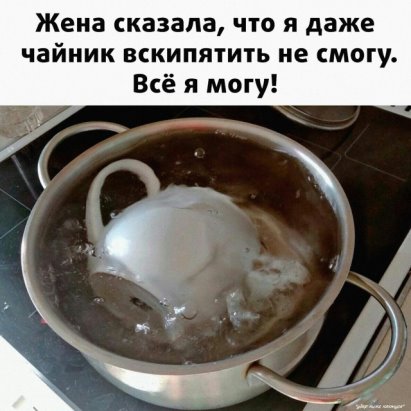Весёлый полтишок 21.06.2021