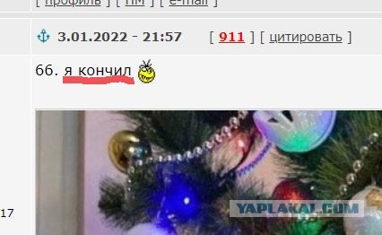 ПостНовогодняя ХНЯ, для дорогих деградантов