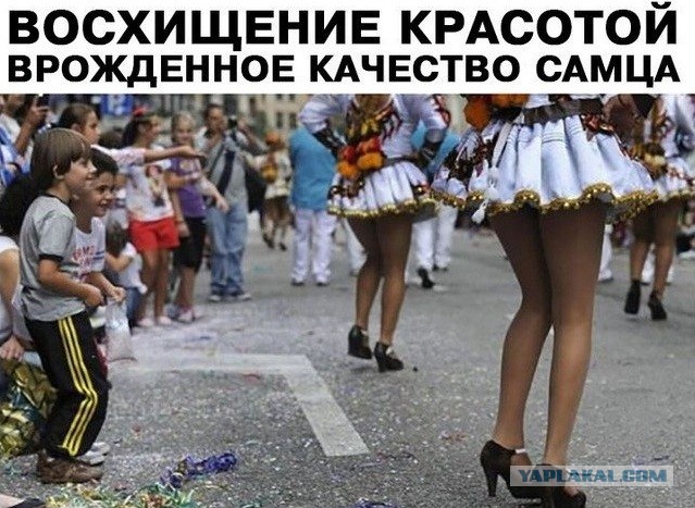 Утренняя подборка картинок и мемов - 4