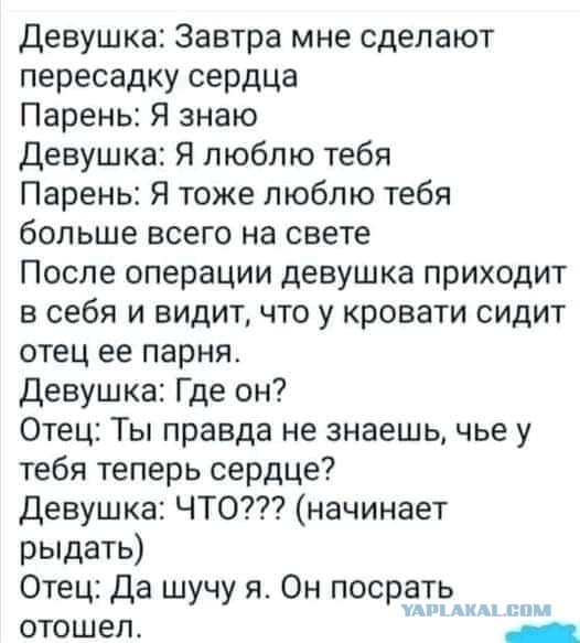 Чуток картинок 31.01.22