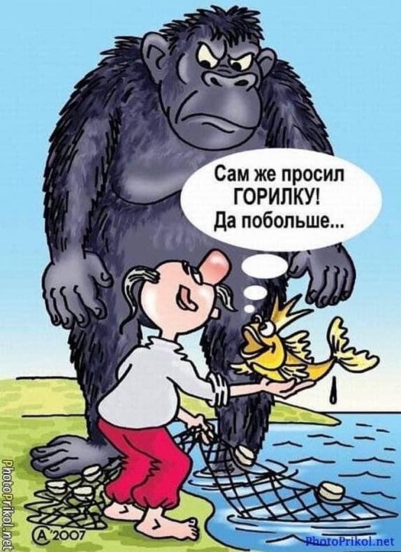 Так себе картинки 14.04.22