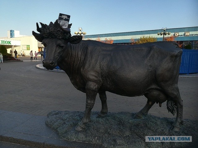 ЯП кругосветка. Этот проект завершился!