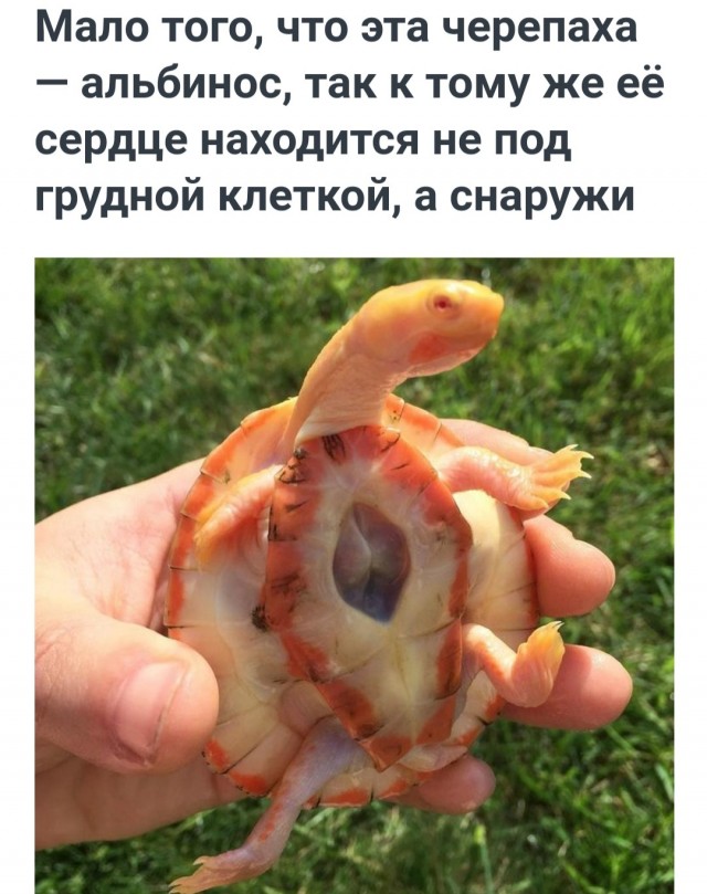 Так себе картинки 06.07.22
