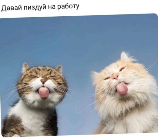 Прикольные и просто красивые картинки 25.10.2022