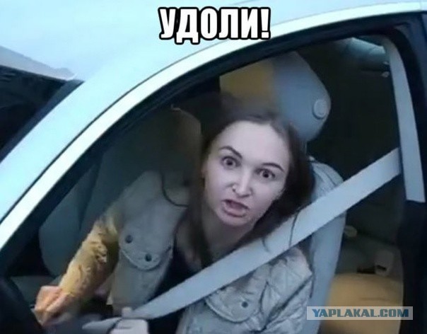 "Красавица и стою! А ты кто, ты урод!"