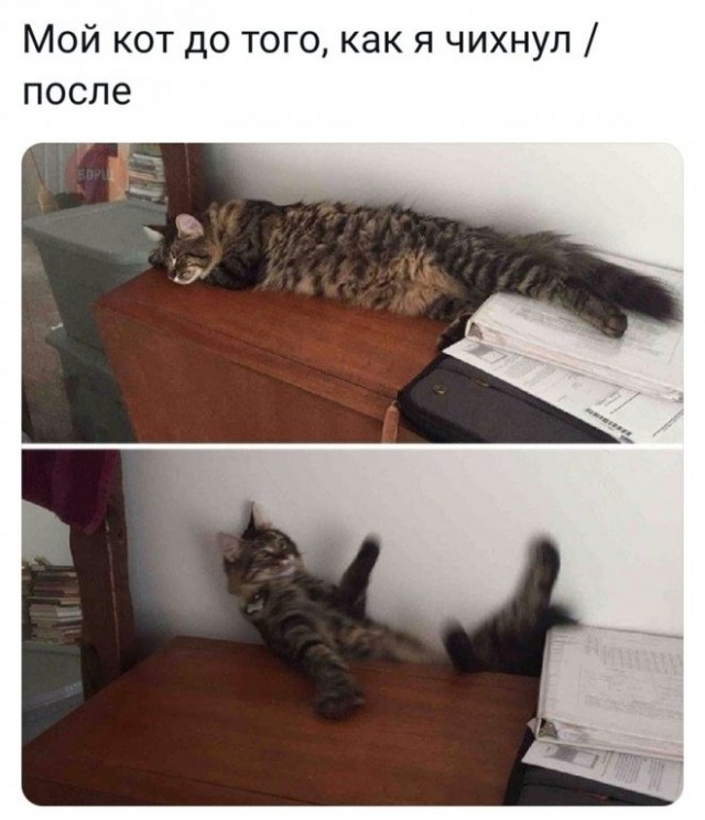 Мемасы из мемори (баяны)