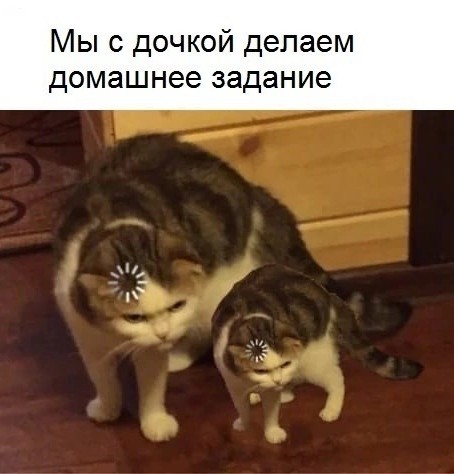 То, что видели мои друзья. Отправленные картинки за несколько лет